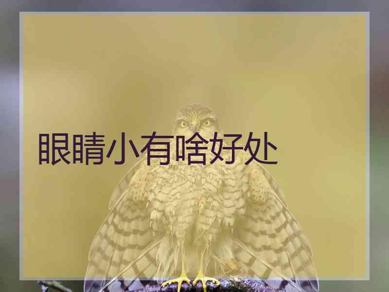 眼睛小有啥好处