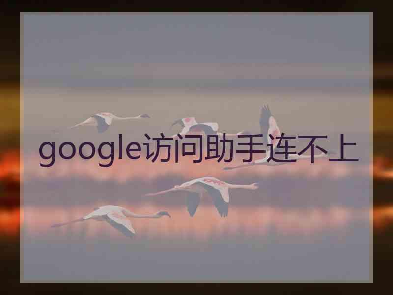 google访问助手连不上