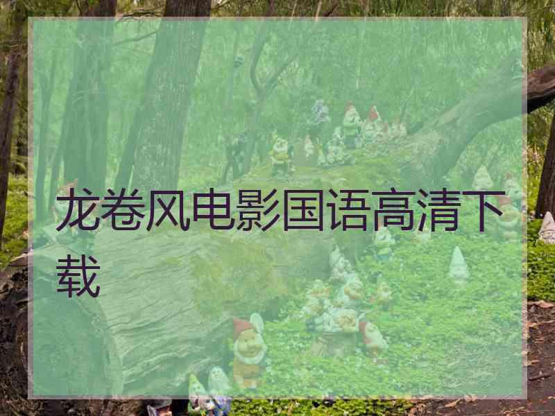 龙卷风电影国语高清下载