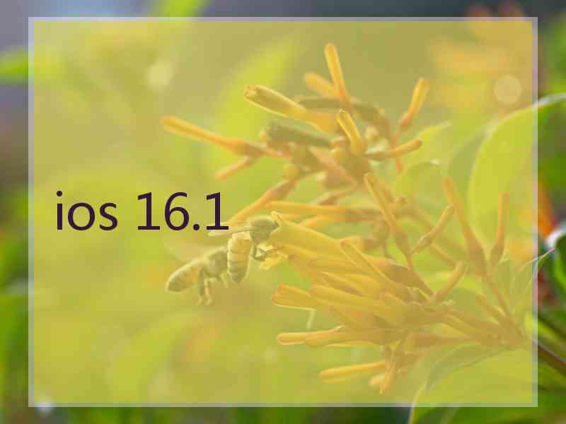 ios 16.1