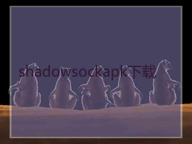 shadowsockapk下载
