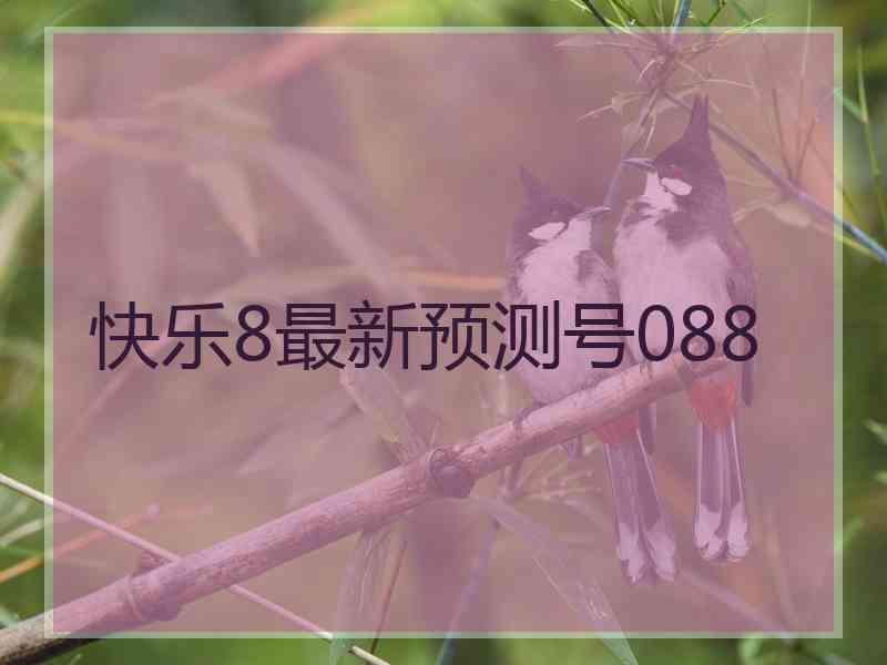 快乐8最新预测号088