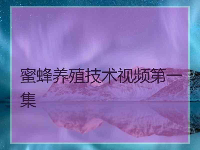 蜜蜂养殖技术视频第一集