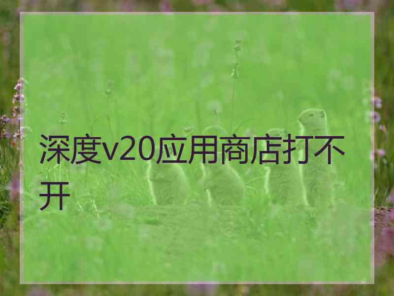 深度v20应用商店打不开