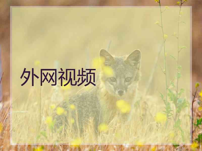 外网视频