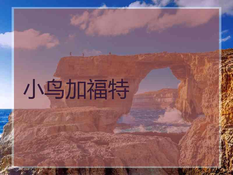 小鸟加福特