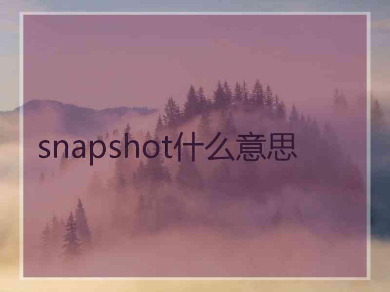 snapshot什么意思