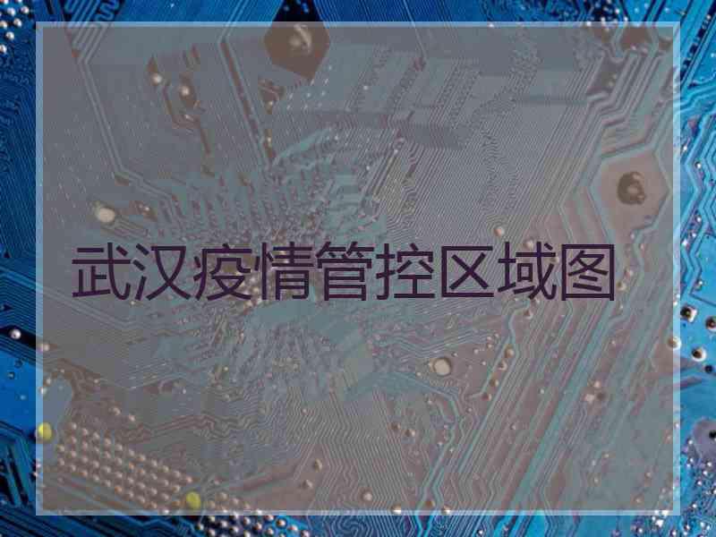 武汉疫情管控区域图