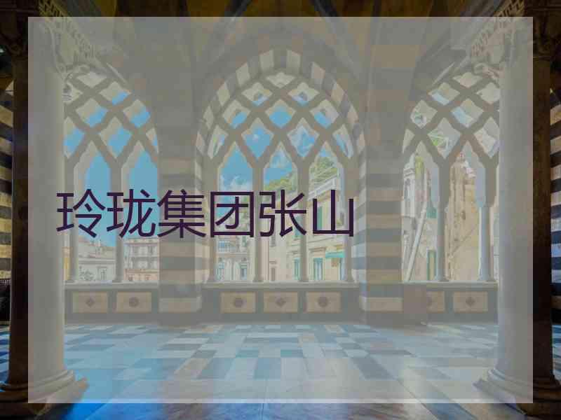 玲珑集团张山