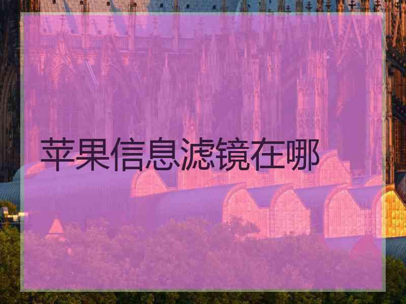 苹果信息滤镜在哪