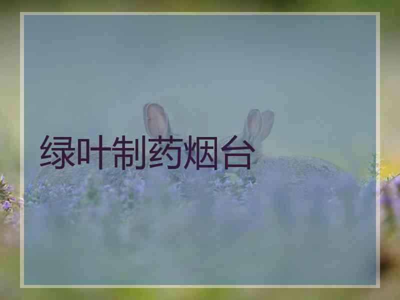 绿叶制药烟台