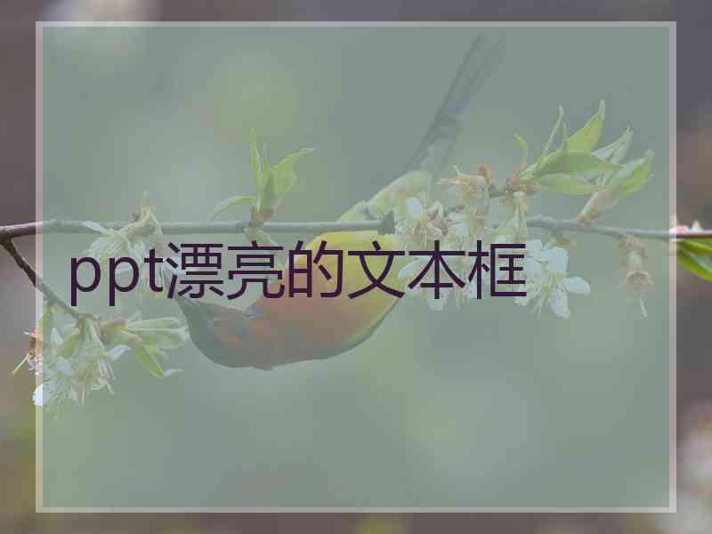 ppt漂亮的文本框