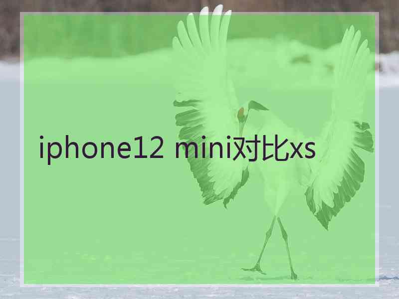 iphone12 mini对比xs