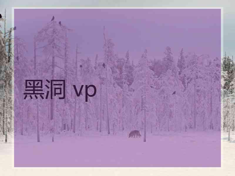 黑洞 vp