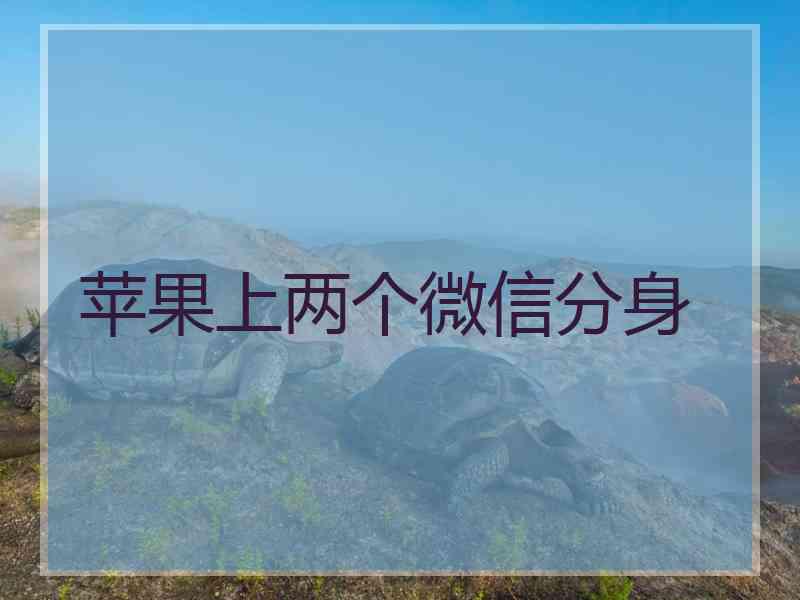 苹果上两个微信分身