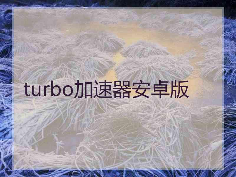 turbo加速器安卓版
