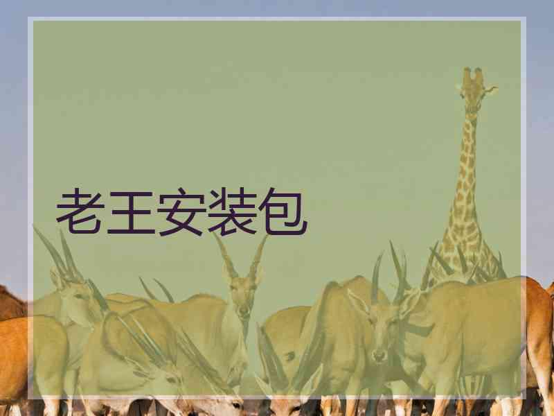 老王安装包