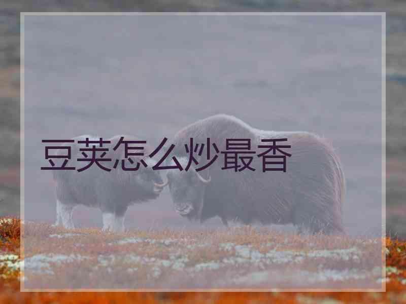 豆荚怎么炒最香