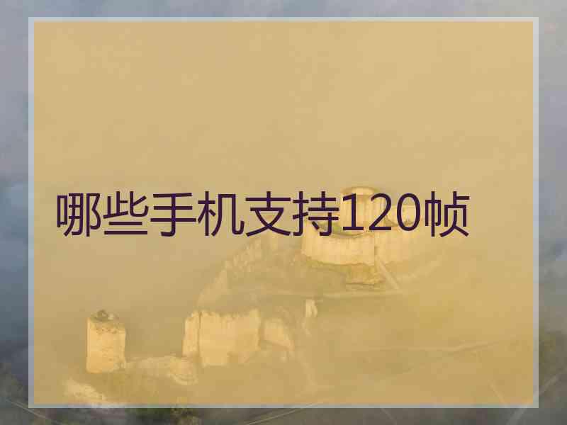 哪些手机支持120帧