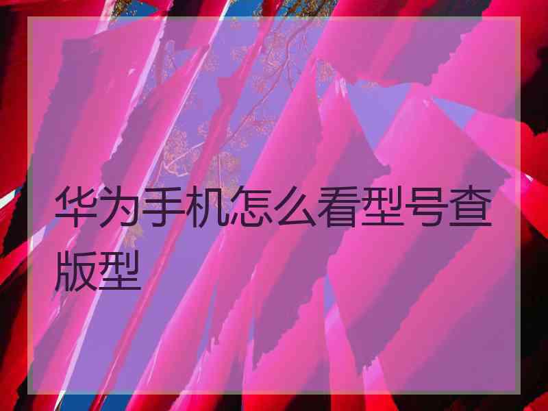 华为手机怎么看型号查版型
