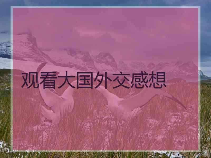 观看大国外交感想