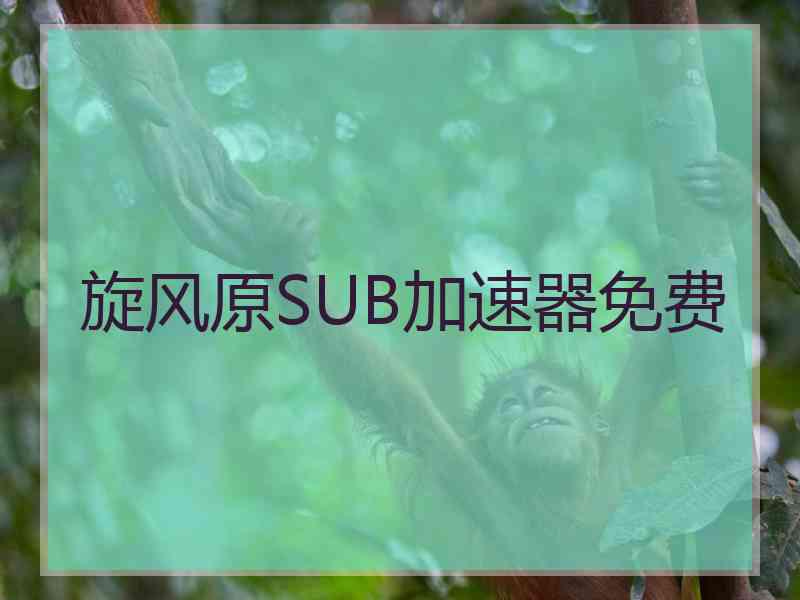 旋风原SUB加速器免费