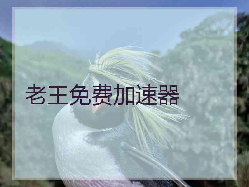 老王免费加速器