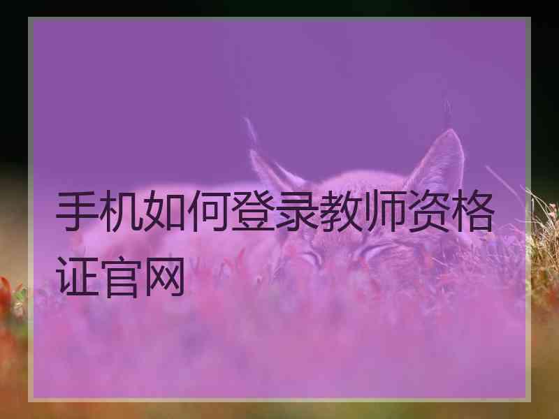 手机如何登录教师资格证官网