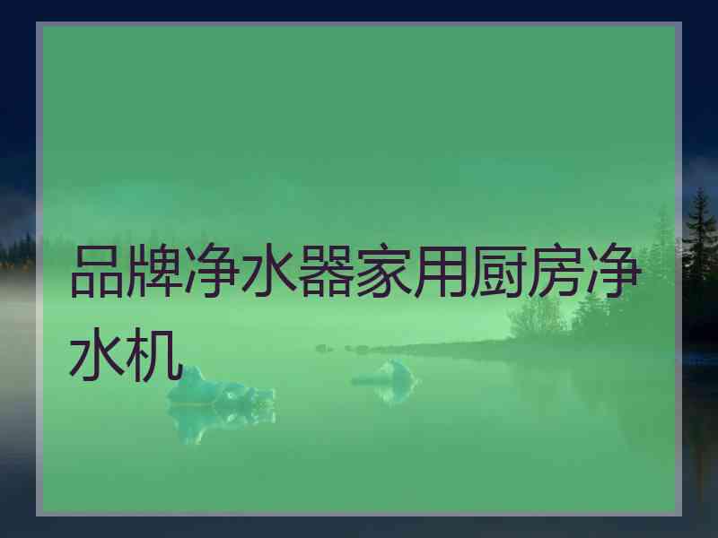 品牌净水器家用厨房净水机