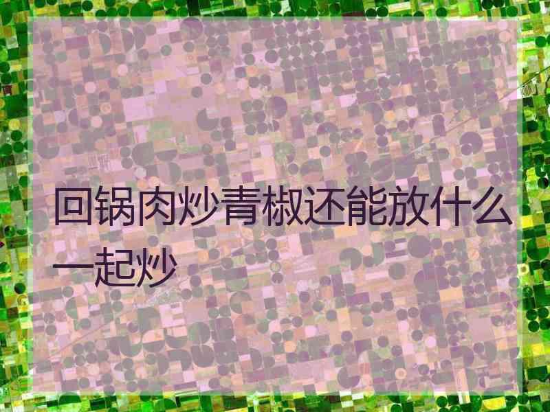 回锅肉炒青椒还能放什么一起炒