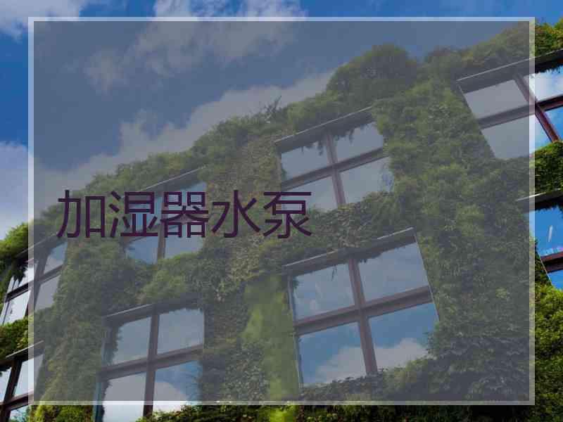 加湿器水泵