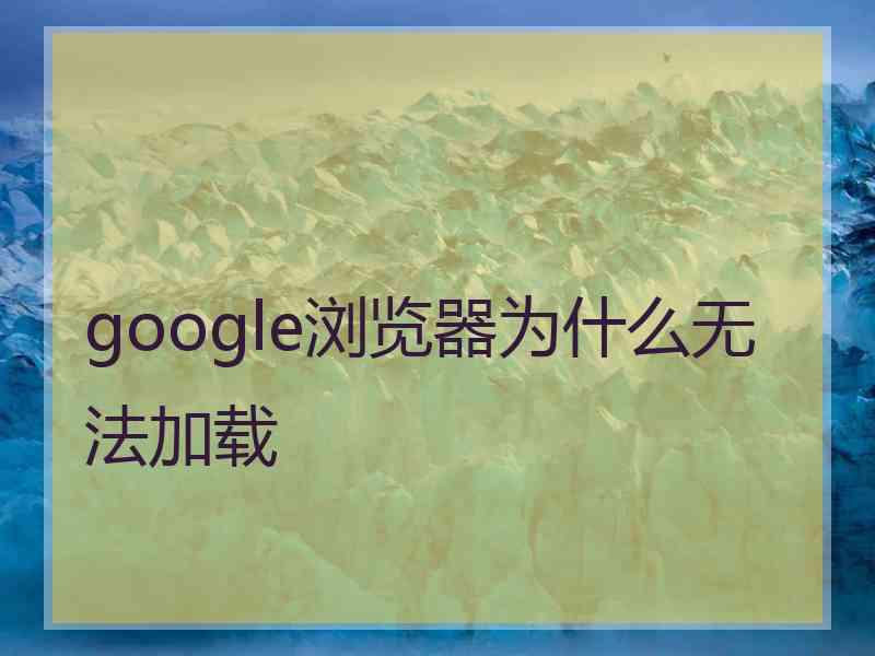 google浏览器为什么无法加载