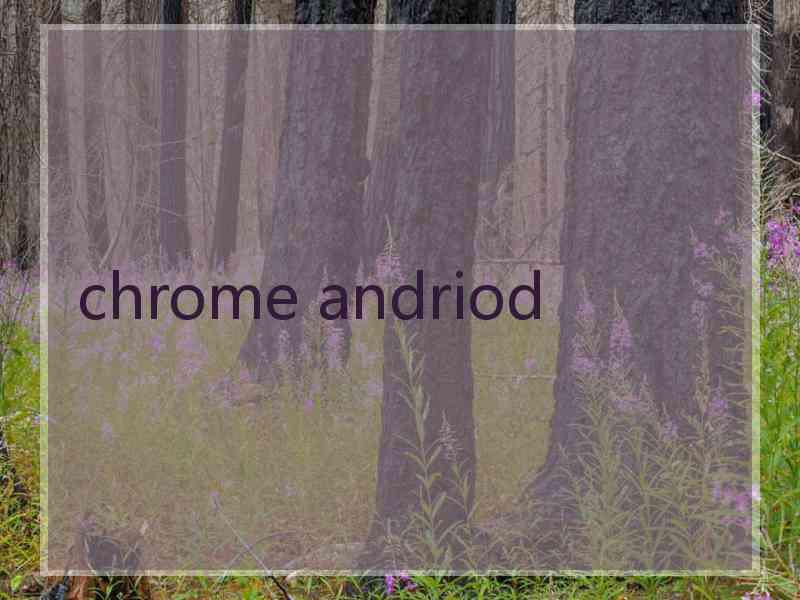 chrome andriod