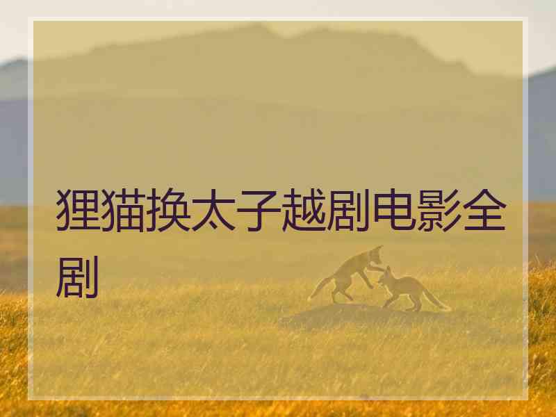狸猫换太子越剧电影全剧