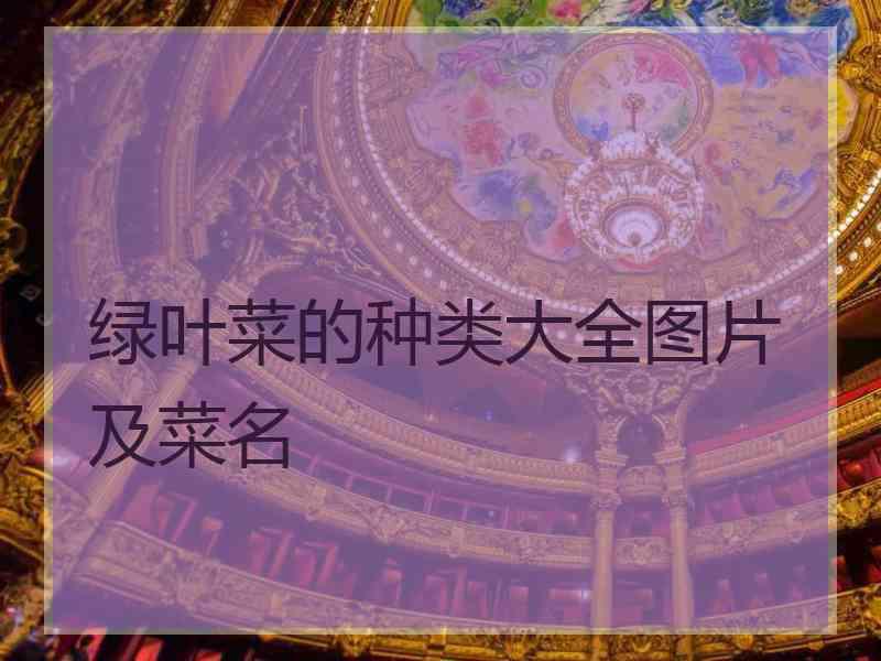 绿叶菜的种类大全图片及菜名