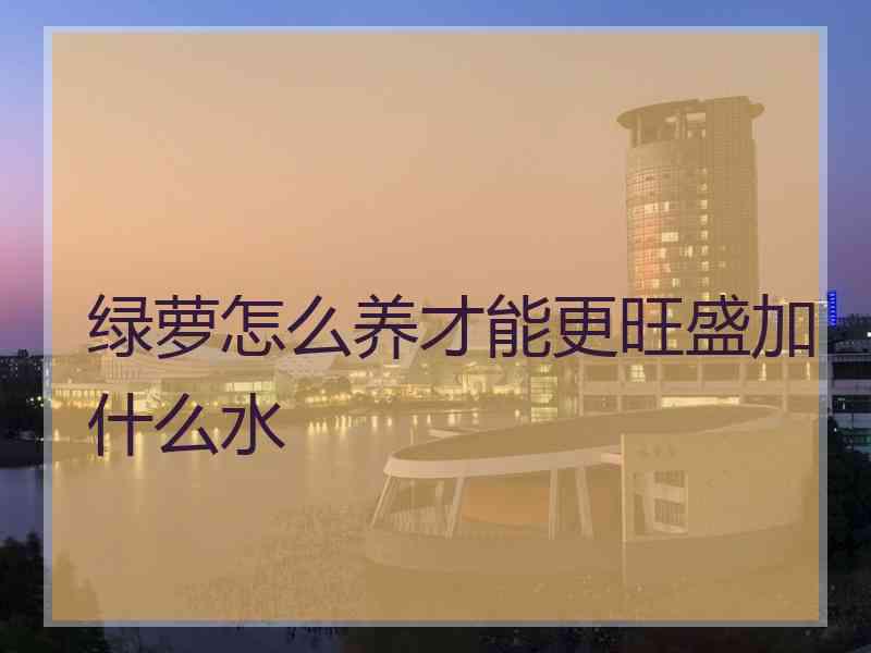 绿萝怎么养才能更旺盛加什么水