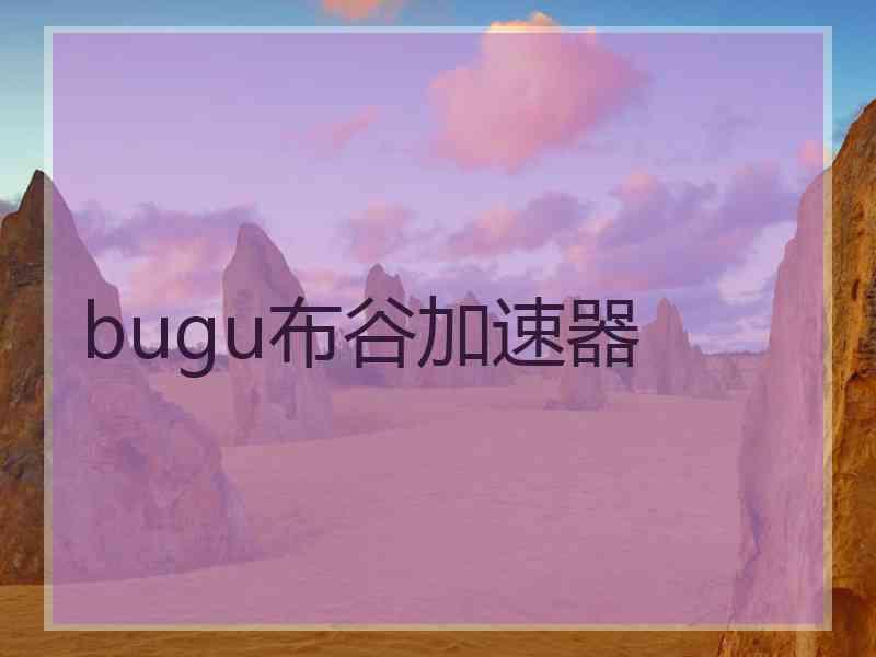 bugu布谷加速器