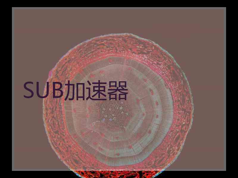 SUB加速器