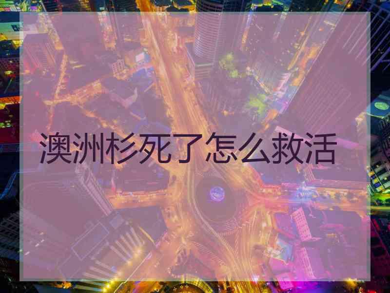 澳洲杉死了怎么救活