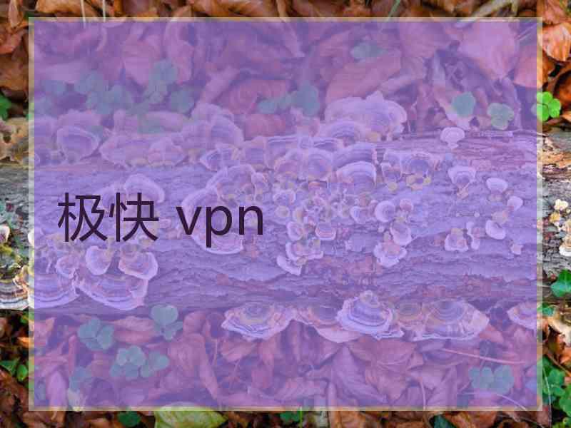 极快 vpn