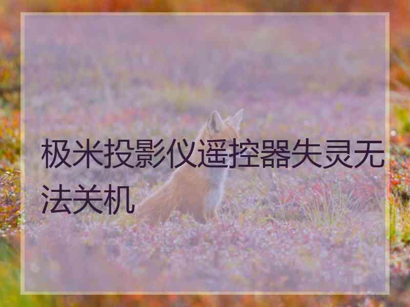 极米投影仪遥控器失灵无法关机