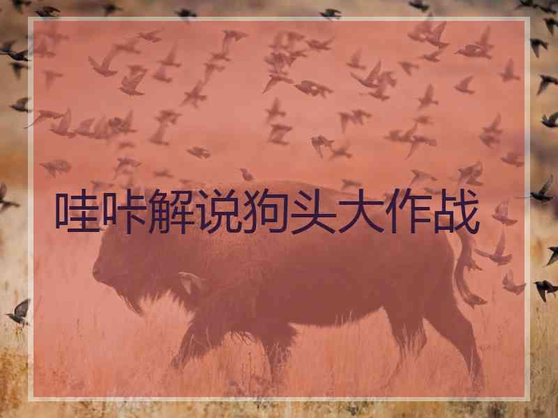 哇咔解说狗头大作战