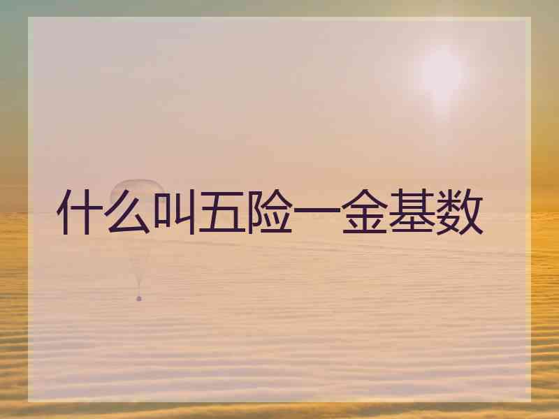 什么叫五险一金基数