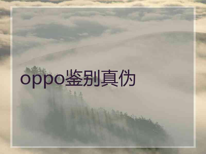 oppo鉴别真伪