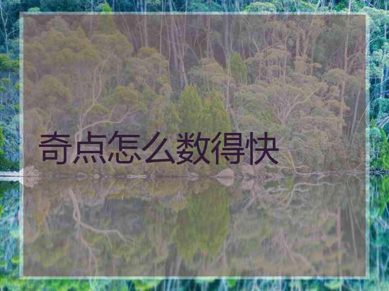 奇点怎么数得快