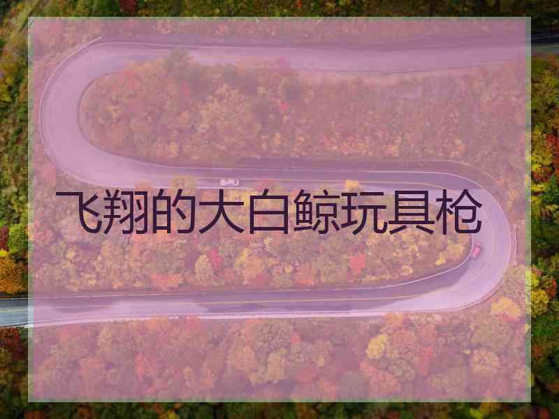 飞翔的大白鲸玩具枪