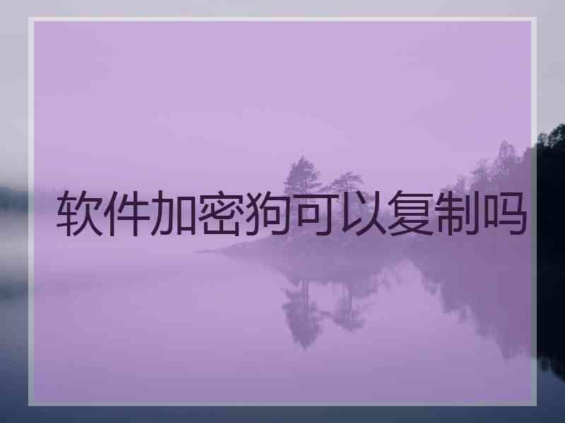 软件加密狗可以复制吗