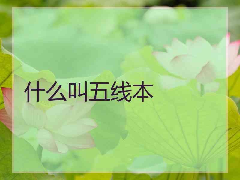什么叫五线本