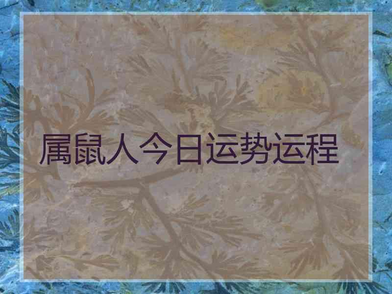 属鼠人今日运势运程