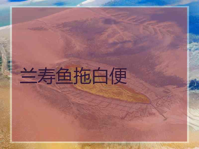兰寿鱼拖白便